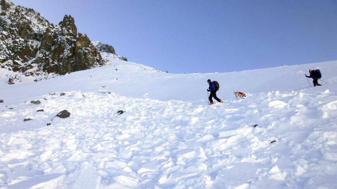 Search and rescue volunteers, along with an avalanche dog, search debris in an avalanche field for a missing skier on Imp Peak in the southern Madison Range in southwestern Montana. The body of Inge Perkins was recovered after two skiers triggered the weekend avalanche that fully buried Perkins and partially buried renowned mountaineer Hayden Kennedy.