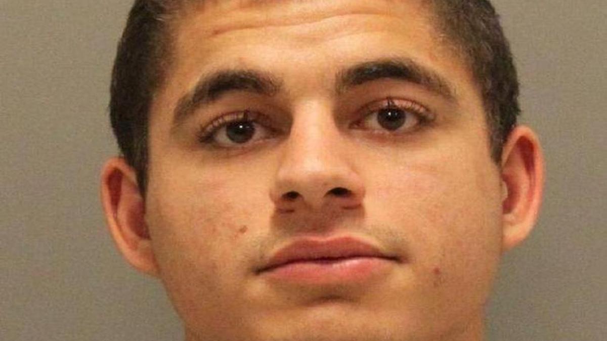 Robert Farmer will spend 16 years in jail for killing 21 cats and sexually abusing one.