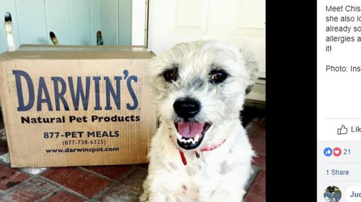 The FDA’s been investigating Darwin’s Natural Pet Products after a number of recalls and complaints back to October 2016.