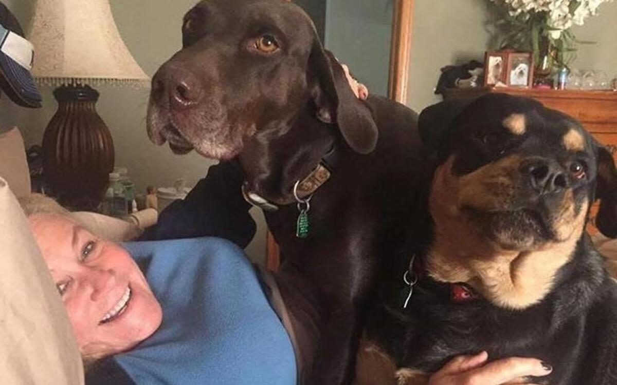Patty Reeder rescued her dogs, including Newt, a chocolate lab/hound mix, and Chubbs, a Rottweiler.