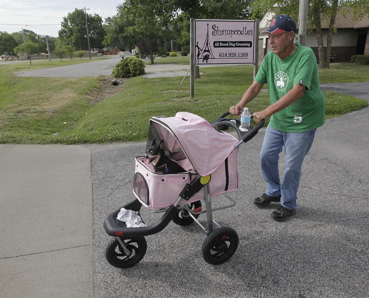 Jim Wilkerson leaves Shampoodles dog-grooming shop in Freeburg and prepares to cross Illinois 15, pushing his miniature pinscher, Lucky, in a pet stroller on their daily walk.