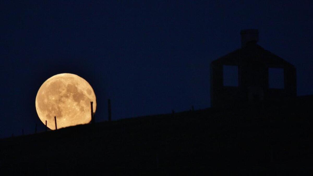 Thursday’s harvest moon will be the first to fall in October since 2009 — and it should be visible in nearly-full form through the weekend, barring cloud cover.