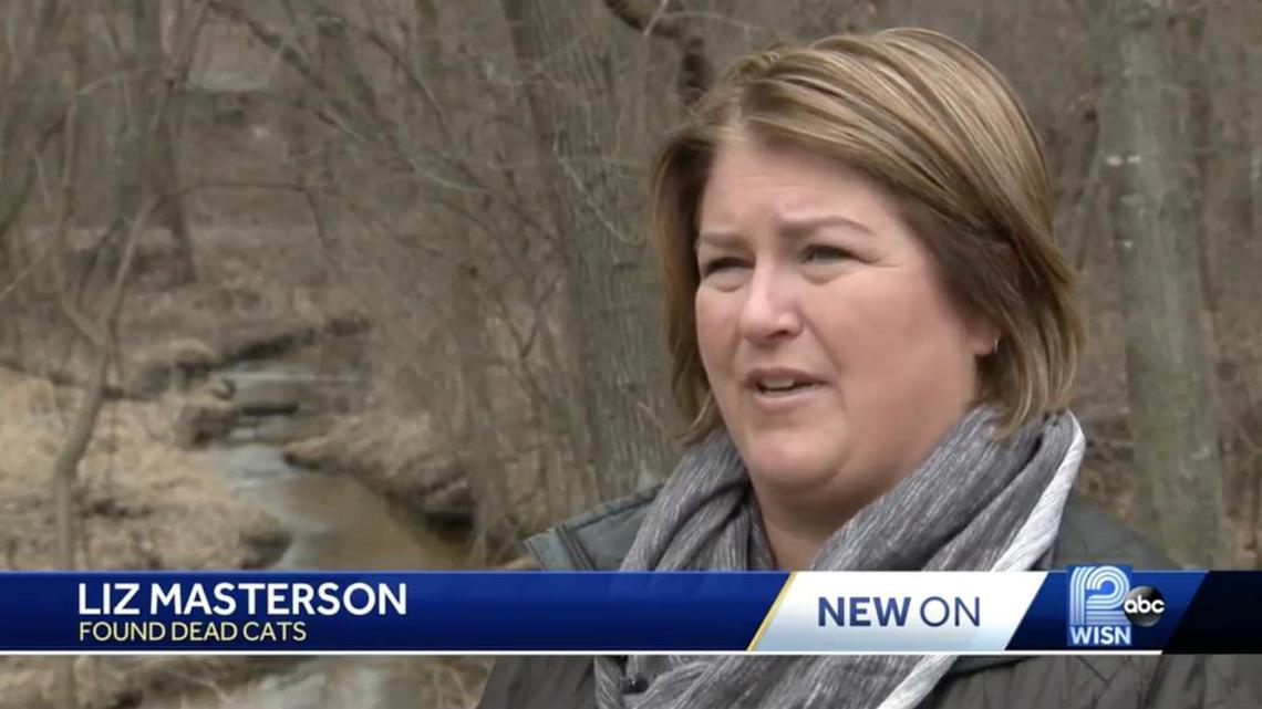 A Wisconsin man faces felony charges after police say he trapped nine house cats and tossed their dead bodies onto a woman’s land.