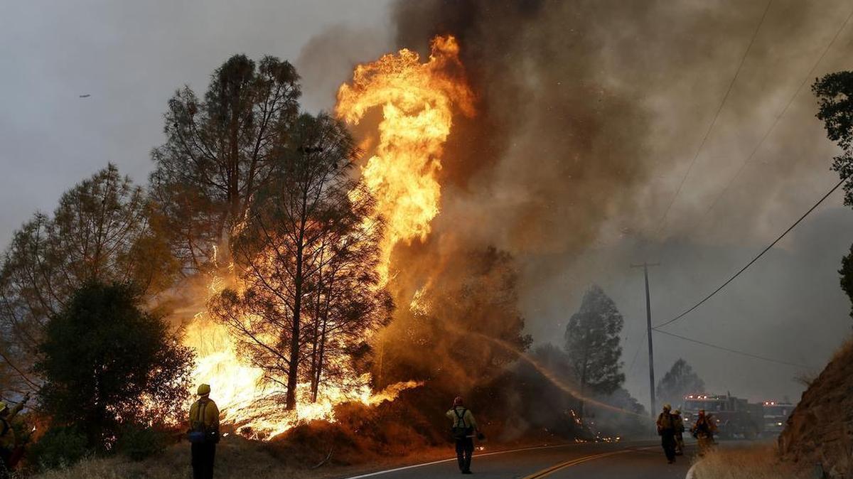 
Firefighters spray a hose at a fire along Morgan Valley Road near Lower Lake, Calif., Friday. A series of wildfires were intensified by dry vegetation, triple-digit temperatures and gusting winds. 
