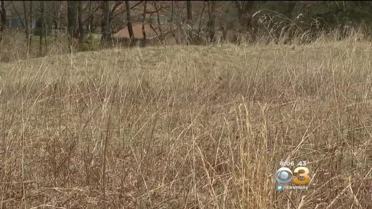 Residents of the Springfield Township in Pennsylvania are demanding action after they say dogs have been developing cancer and dying after playing in Peppermint Park.