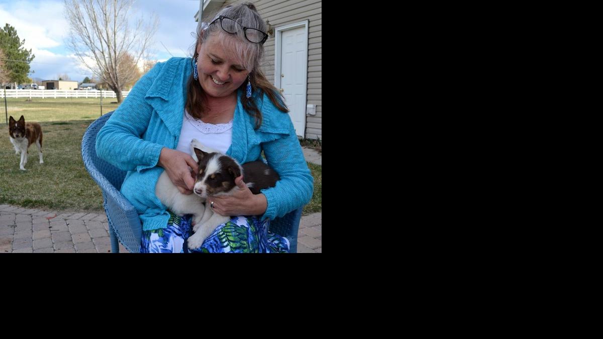 Beth Stenberg holds a couple of the puppies that a Border Collie named Sis gave birth after the dog was rescued along Interstate 15 in Pocatello, Idaho on April 2, 2015.