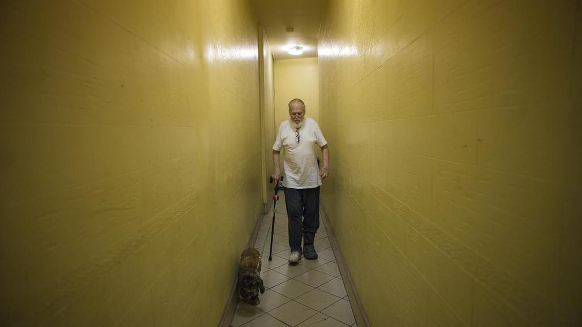 Delbert Shorter with his cocker spaniel, Madge, on his way to the Carter Burden Center for the Aging, where a caseworker helped him reapply for food stamp benefits, in New York, last July. Now hundreds of thousands of people could soon lose food stamps as states reimpose time limits and work requirements that were suspended in recent years because of high unemployment, state officials and advocates for the poor said Friday.