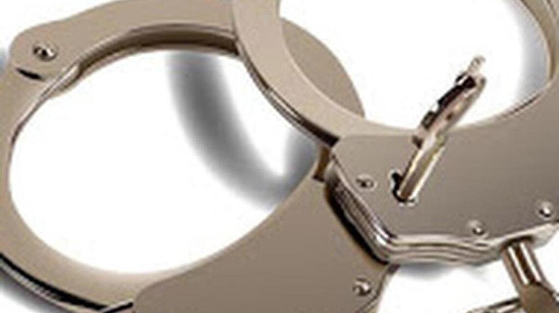 Pet owner arrested after Chihuahua tests positive for meth