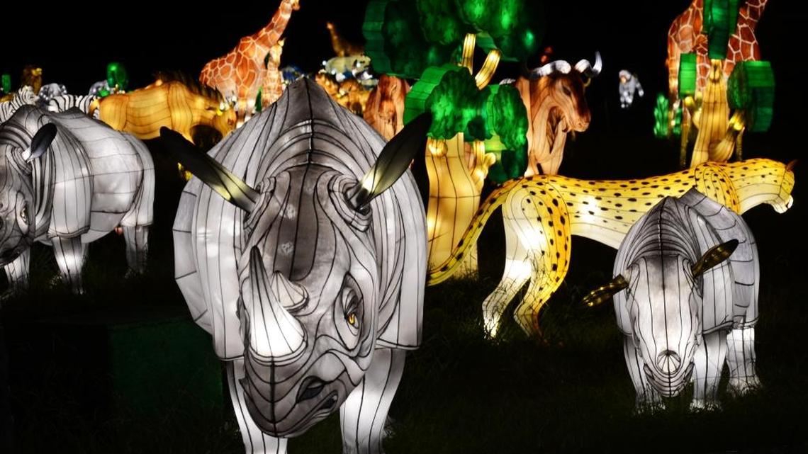 Some of the lighted animal figures created for the Chinese Lantern Festival at Daniel Stowe Botanical Garden this fall