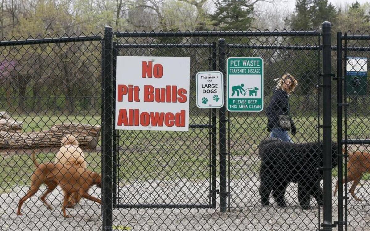 A woman walks her dogs in the in the dog park at Andover Central Park Thursday. The no Pit Bulls sign just went up last week. (March 30, 2017)