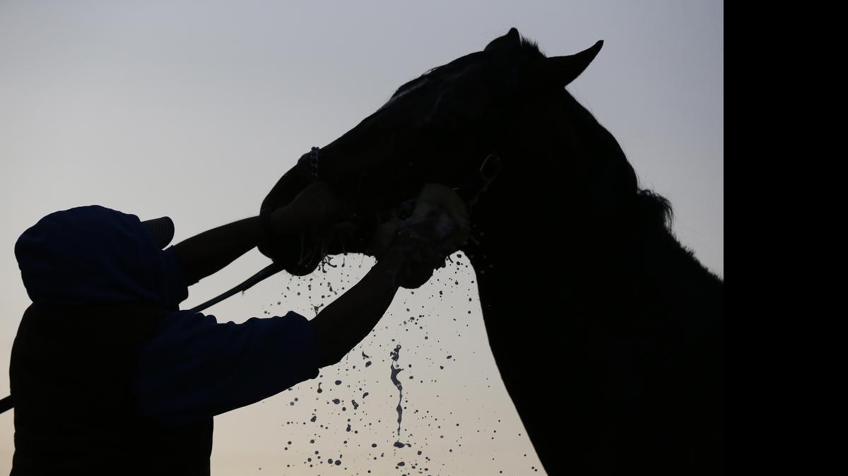 
A horse gets a bath after a morning workout at Churchill Downs Friday, May 1, 2015, in Louisville, Ky. 
