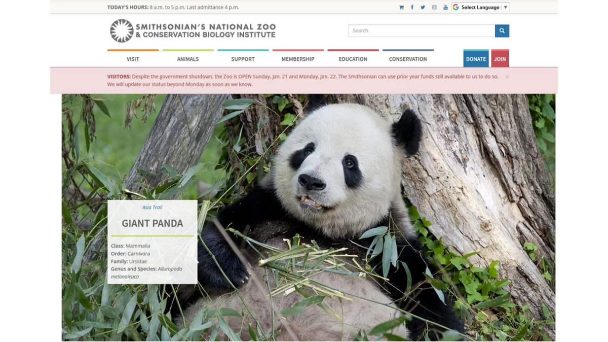 The federal government may be shut down in a budget standoff, but the National Zoo’s Panda Cam livestreams are still broadcasting for the moment.