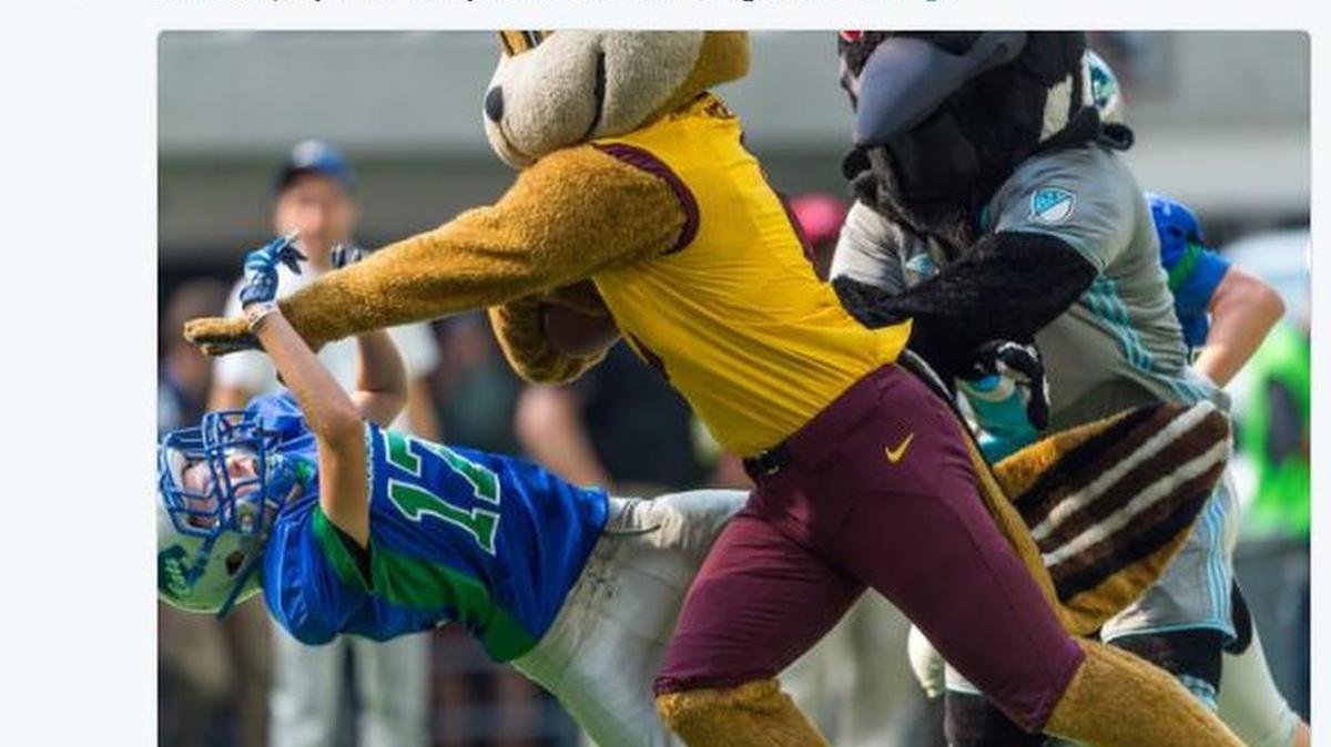 Goldy Gopher, the mascot for the University of Minnesota, was captured on video slamming a youth football player to the ground during a halftime mascots vs kids game.