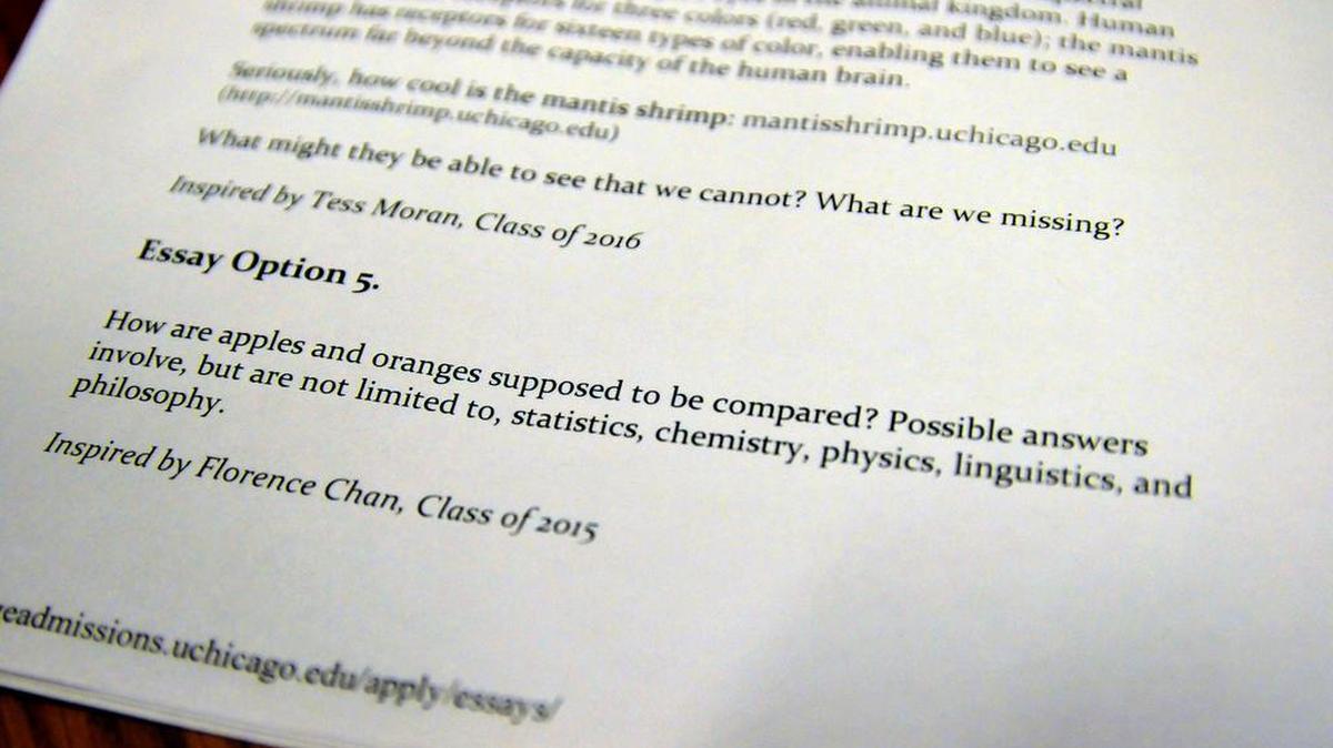
An example of an offbeat essay topic from an admissions application in Edmond, Okla., Oct. 31, 2013. Julie Lythcott-Haims argues in her book “How to Raise an Adult: Break Free of the Overparenting Trap and Prepare Your Kid for Success” that colleges could help tamp down on the admissions craze by going test-optional, leaving it up to students whether to submit SAT or ACT scores. And perhaps top-tier schools could agree to limit the number of such schools that each student may apply to, she said.


