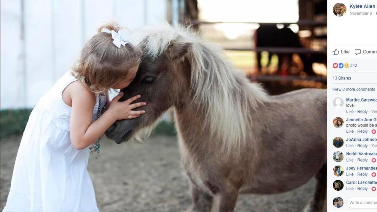 A Texas family woke up one morning to find their beloved dwarf pony, "Chicken Nugget" dead of a gunshot to the face at point blank range in his pen.