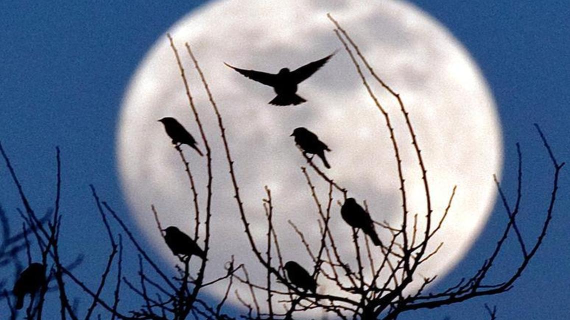 A rare event will occur Monday. The summer solstice and a full strawberry moon coincide on the same day. It’s been several decades since it last happened.