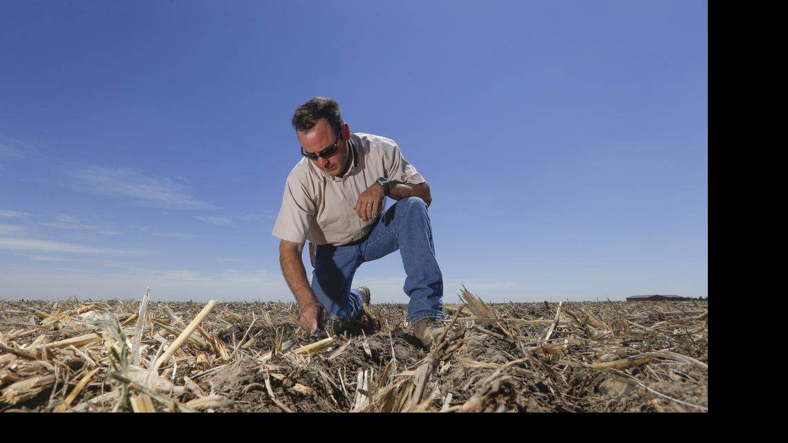 
Brant Peterson examines some soil on his farm in Stanton County, Kan. Peterson says he's noticed that the Ogallala aquifer, from which he draws to irrigate his crops, has declined rapidly in recent years as Kansas experienced a drought. His farm got just seven inches of rain a year for six years. During that time, the water level in his wells dropped by more than half. In 2009, Brant says, his was able to pump 5,400 gallons per minute from 15 wells. Now those wells are pumping just 2,600 gallons per minute for the same acres, and the water must be drawn from deeper under the ground, almost 600 feet, increasing the cost of pumping. Acutely aware of how little water is left, Brant uses satellites and apps on his phone and iPad to monitor his sprinklers and fields. “To me, I’m as efficient as I can be with my water,” he said. “The only thing I can do to conserve is to cut back acres."
