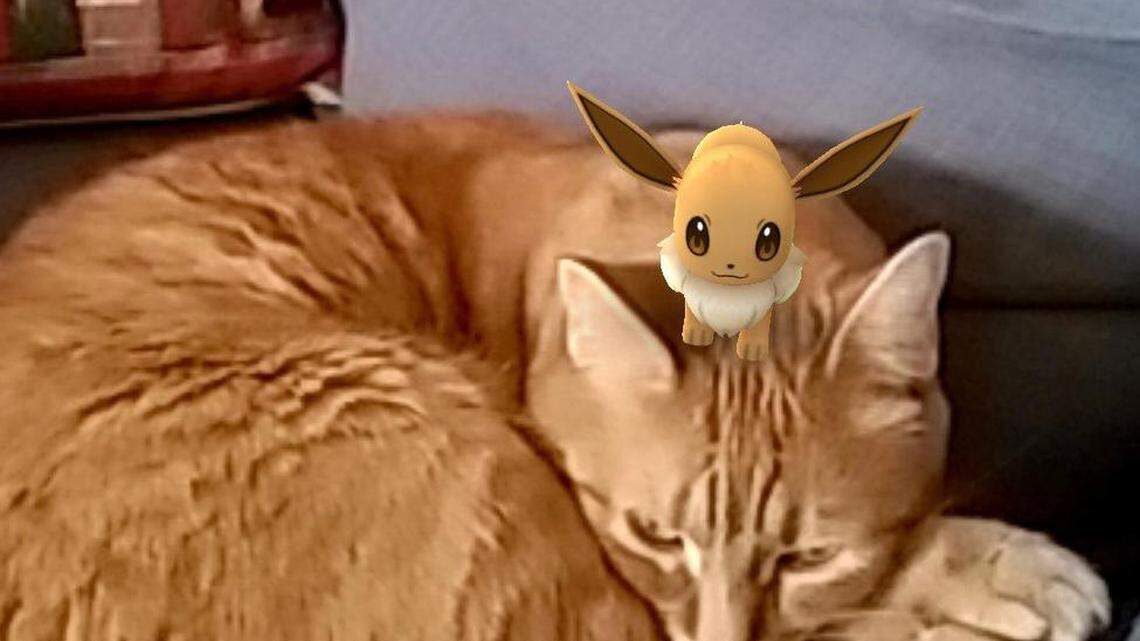 A Pokémon Go screenshot.