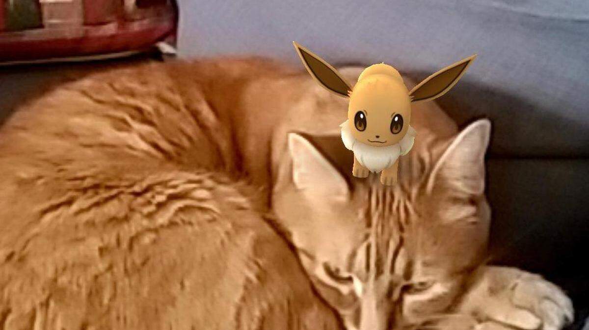 A Pokémon Go screenshot.