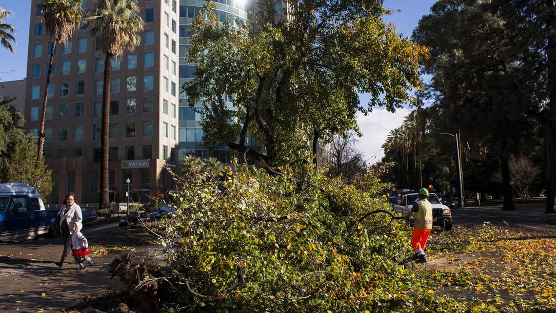 Kevin McClain of the Sacramento Department of Public Works removes a tree that fell across L Street near 14th Street in Sacramento, Calif., after a storm passed through early Sunday.