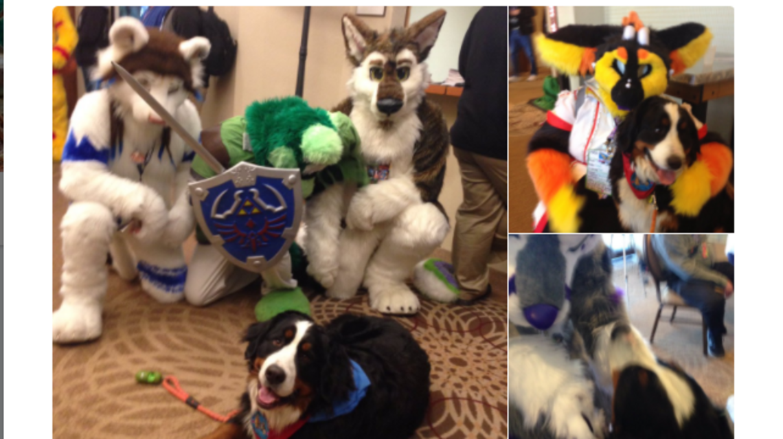 Thinking it was a pet event, woman takes her dog to a furry convention