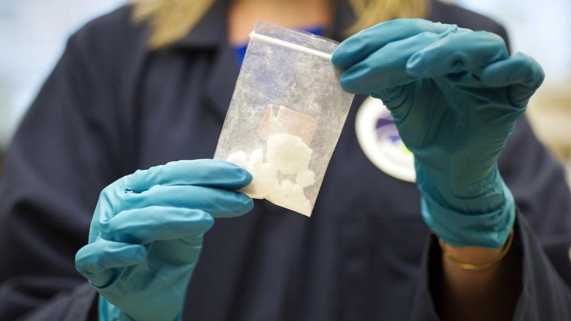Drug Enforcement Administration (DEA) staff in Sterling, Va. use gloves to handle drugs seized during a raid.