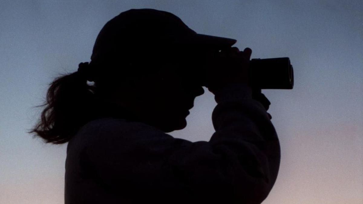 How to make birdwatching less creepy? “Maybe don't point your binoculars at other people’s houses, stop your car in the middle of the road, or yell ‘Bushtit!’ during an otherwise civil dinner conversation,” recommends David. J. Ringer of the National Audubon Society.