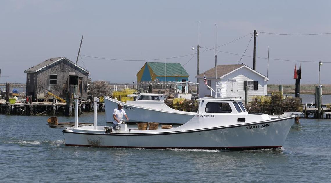 In this Wednesday May 17, 2017, photo, watermen run their workboats past crab shantys in Tangier, Va. Tangier Island doesn’t often lose watermen to the sea, but Ed Charnock was lost at sea on April 24. More than a month after the sinking, the island’s tight-knit community is still in mourning.