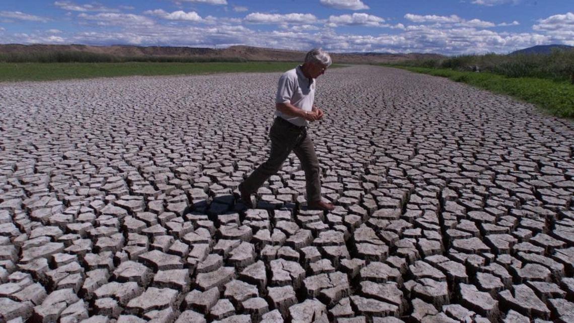 Phil Norton, manager of the Klamath Basin National Wildlife Refuges in Tulelake, Calif., on July 17, 2001, walks across the mud flats that were created when water from the Klamath River was cut off.