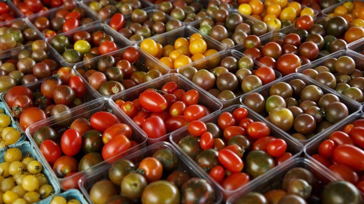 Cooling tomatoes below 54 degrees stops them from making some of the substances that contribute to their taste, say researchers. That robs the fruit of flavor, whether it happens in a home refrigerator or in cold storage before the produce reaches the grocery shelf, according to a report released Monday, Oct. 17, 2016, by the Proceedings of the National Academy of Sciences.