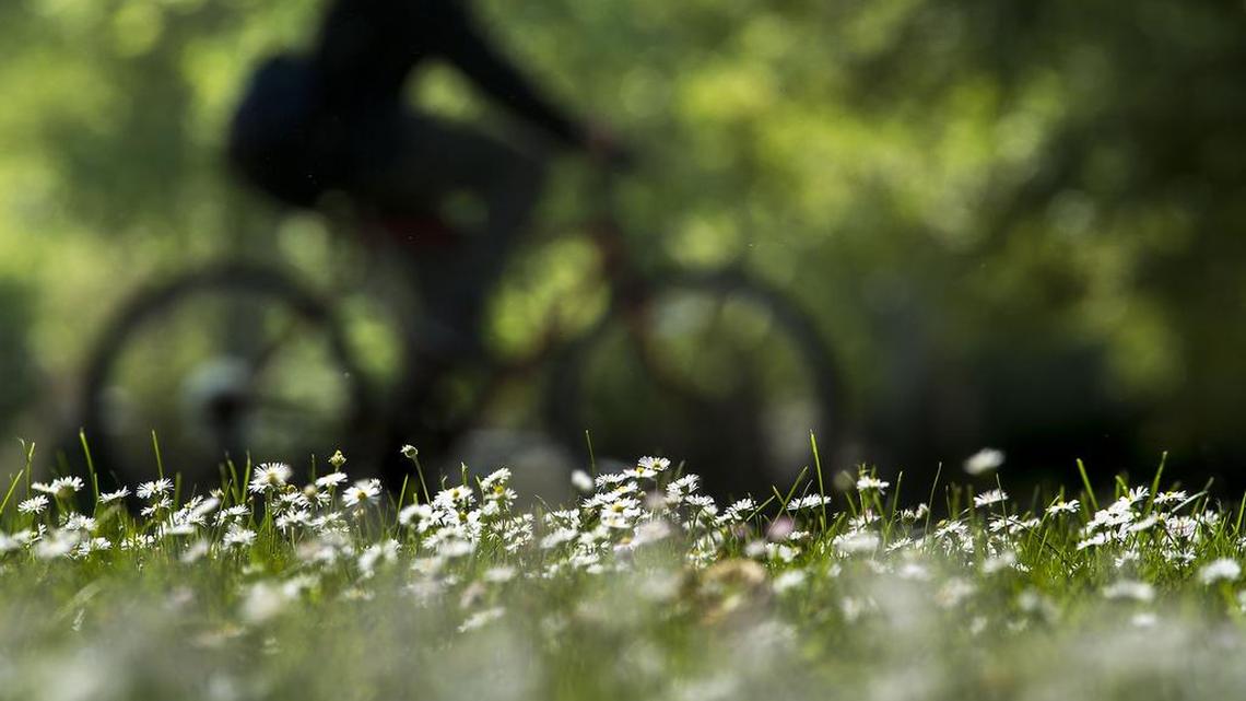 While we are past the peak season for rain, there’s still room for more.