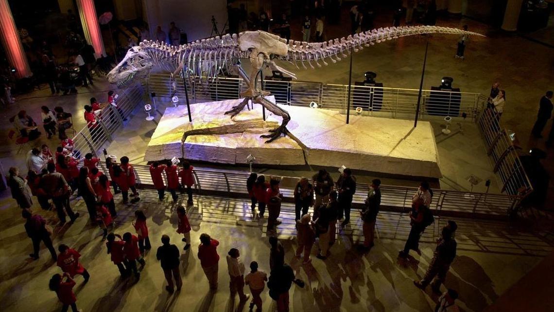 Dinosaurs were wiped out as Earth’s surface sloshed like liquid, scientists found