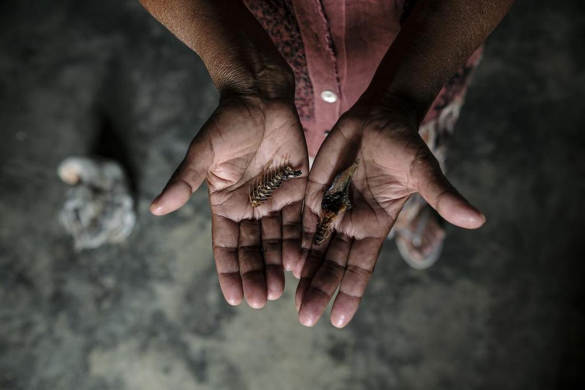 Catalina Garay holds bones from fish that supposedly fell during the storm a few days earlier and were cooked and eaten by her family, in La Unión, in Yoro, Honduras, June 11, 2017. Residents here report an annual “rain fish,” when they say silver sardines supposedly fall from the sky after a heavy storm. It could be science, or a miracle.