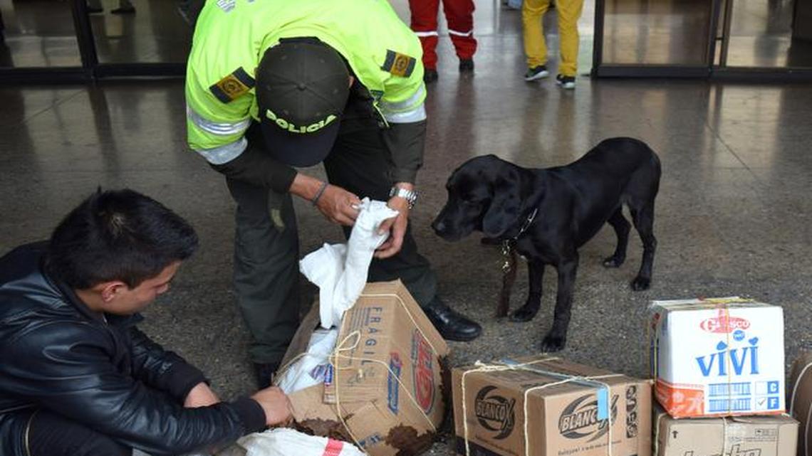 
Dino, a Labrador mix, looks for wildlife at a bus terminal in Bogota, Colombia. Easter week produces a surge in the wildlife trade here as pious Catholics replace red meat with exotic species like turtle and iguana.

