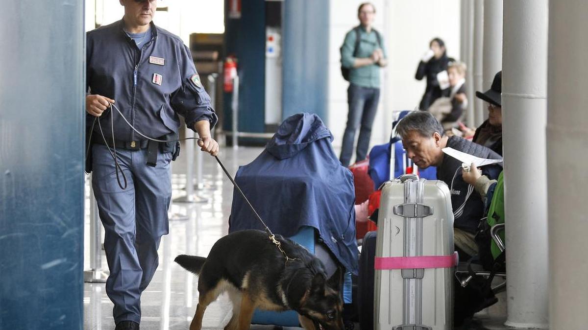 A Italian police dog sniffs passengers’ luggage at Leonardo Da Vinci airport in Fiumicino, near Rome, Tuesday, March 22, 2016. Authorities in Europe and beyond have tightened security at airports, on subways, at the borders and on city streets after deadly attacks Tuesday on the Brussels airport and its subway system.