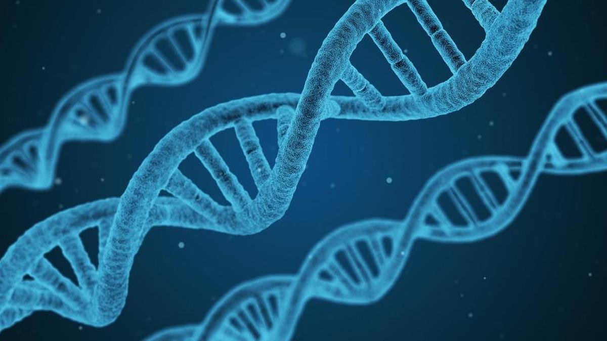 For the first time, scientists have shown they can cure genetic diseases with targeted ‘chemical surgery’ — by carefully editing out one error among the three billion components that make up the genetic code.