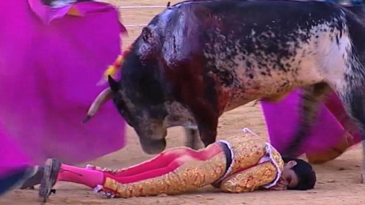 This frame grab taken from Castilla La Mancha TV shows matador Victor Barrio on the ground after being gored by a bull Saturday in Teruel, Spain. He was the first professional matador to be killed in the ring in more than three decades.