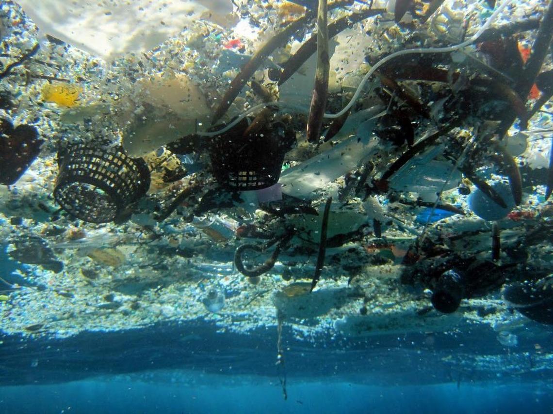 A dead sperm whale found washed up on a beach in Spain had eaten 64 pounds of plastic, including bags, nets, ropes and a jerry can, marine experts say. The discovery comes amid rising concern about litter in the oceans, such as debris shown in this 2008 photo from Hanauma Bay, Hawaii.