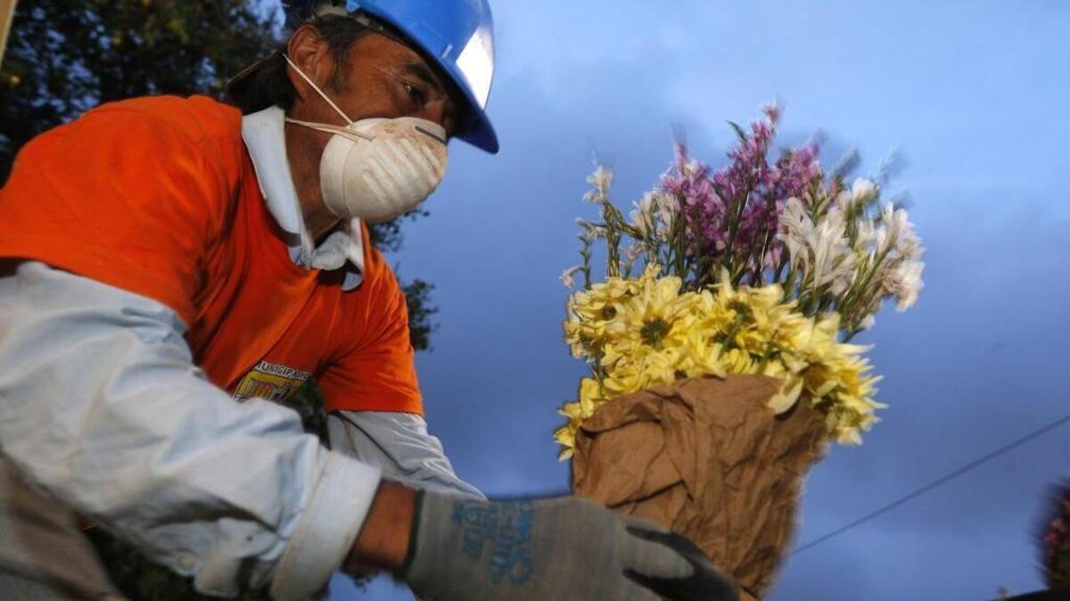 
A worker places flowers on the tomb of Santos Etelvina Sontay, who died in the Cambray neighborhood mudslide, at the Santa Catarina Pinula cemetery on the outskirts of Guatemala City, Monday, Oct. 5, 2015. 
