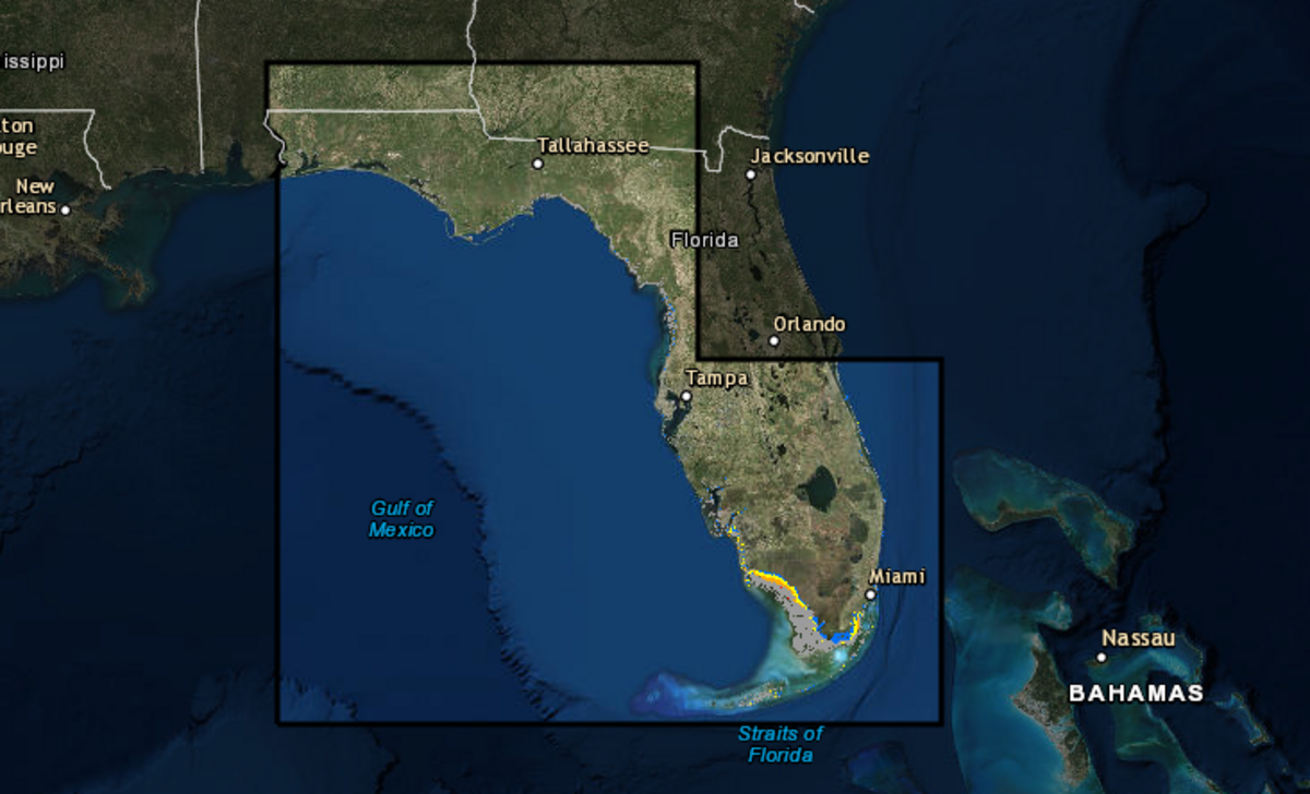 The highlighted area of Florida on this map could have potential storm surges due to Hurricane Irma.