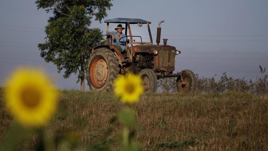 In this Feb. 22, 2011, photo, a farmer drives his tractor in Pinar del Rio, Cuba. The Obama administration has approved the first U.S. factory in Cuba in more than half a century, allowing a pair of former software engineers to build a plant assembling as many as 1,000 small tractors a year. The partners were notified by Treasury Department officials in February 2016.