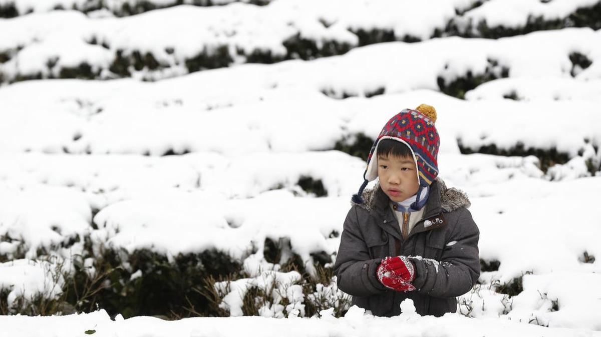 A young boy enjoys the light snowfall Monday on a tea plantation in the Pinglin mountain area of New Taipei City, Taiwan.