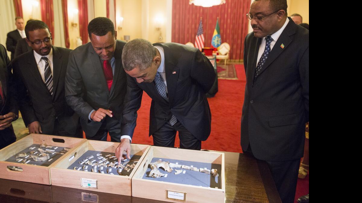 
Ethiopian Prime Minister Hailemariam Desalegn watches at right as President Barack Obama touches “Lucy,” part of several hundred pieces of bone representing 40 percent of a female Australopithecus afarensis who was estimated to have lived 3.2 million years ago in Ethiopia, Monday, July 27, 2015, at the National Palace in Addis Ababa. 
