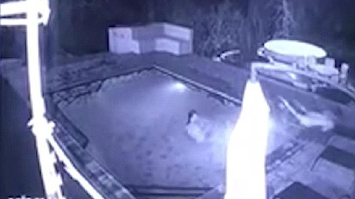 A crocodile creeps up to the edge of a pool in Zimbabwe and lunges in while a couple takes a late-night dip.