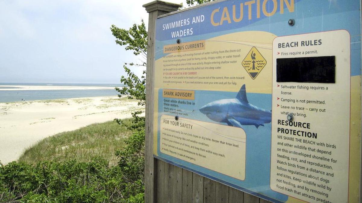 Beaches in Perth, Australia, area were closed and the state fisheries department was trying to find and trap the shark that attacked and killed a woman. In this Wednesday, May 25, 2016, photo, a sign at Chatham Lighthouse Beach beach warns of dangerous currents and sharks in Chatham, Mass.