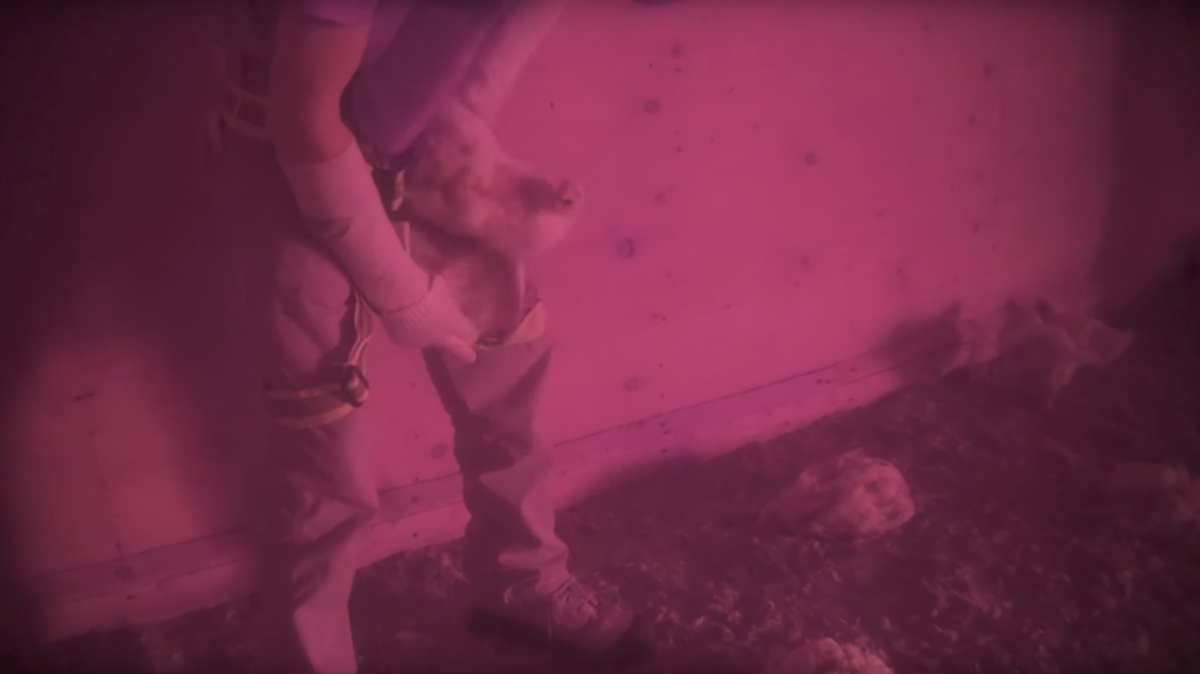 A poultry farmer uses a chicken to wipe his pants.