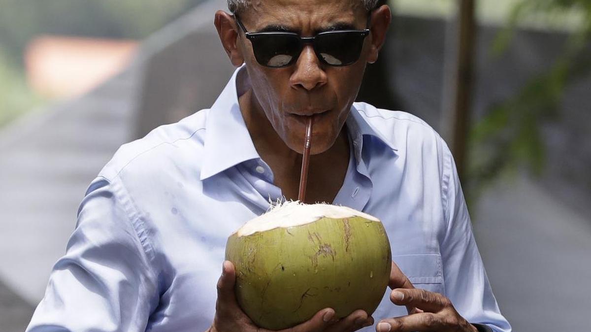 President Barack Obama drinks from a fresh coconut in Laos on Wednesday, Sept. 7, 2016. In the Caribbean, however, coconut production has dropped by about 60 percent in two decades, according to the local association of growers.