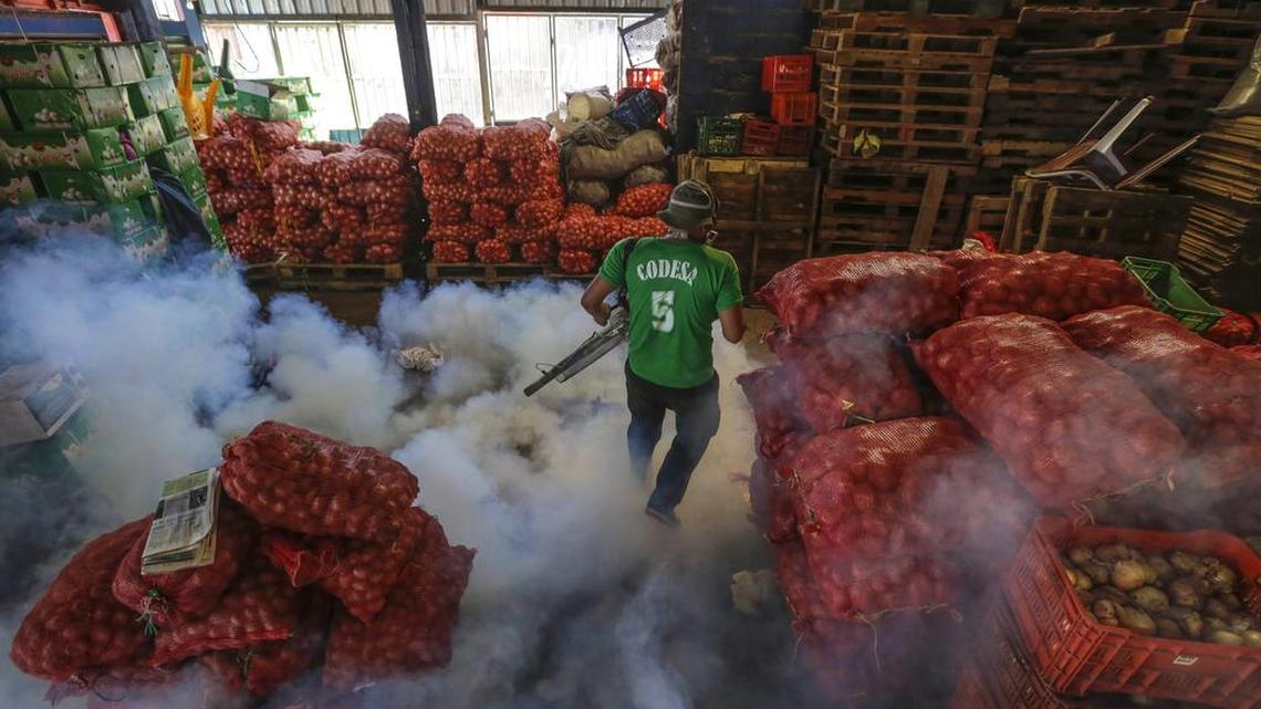 In this Jan. 28, 2016 photo, a Health Ministry worker fumigates for the Aedes aegypti mosquitoes that transmits the Zika virus at the Oriental Market in Managua, Nicaragua.