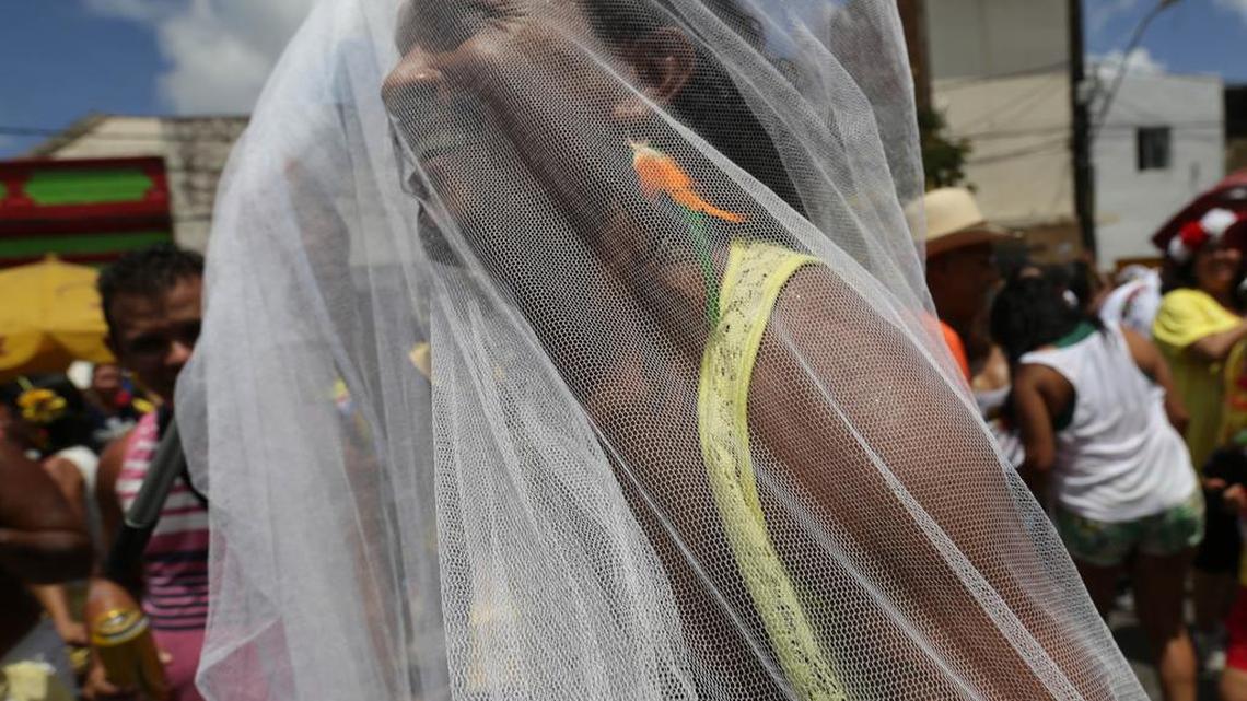 A reveler wearing a mosquito net as carnival costume, trying to protect himself from the ‘Aedes aegypti’ mosquito, participates in the Galo da Madruga or The Dawn Rooster carnival parade, in downtown Recife, Brazil, Feb. 6, 2016.