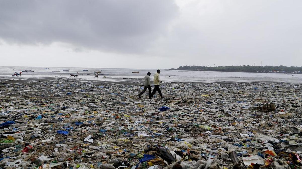 Man-made plastic has made its way into the stomachs of crustaceans living miles below the ocean surface in deep trenches, a “worrying” new study finds.